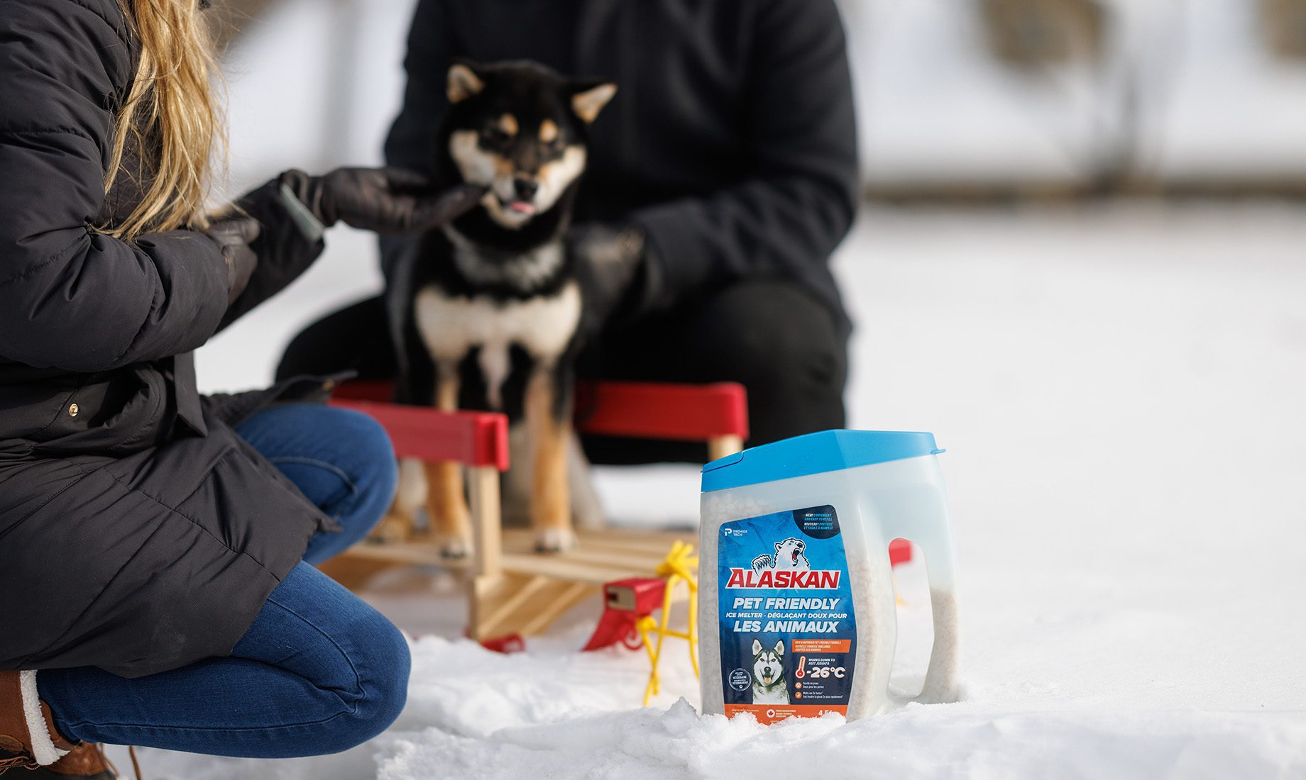 A black and tan dog sits on a wooden sled in the snow beside a person in a dark winter coat. In the foreground, a container of Alaskan pet-friendly ice melt is placed on the snow, hinting at stratégie de design au Québec.