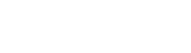 White logo showing a stylized pelican next to the word “Pelican” in bold, uppercase letters, all on a light gray background, reflecting une stratégie de design au Québec.