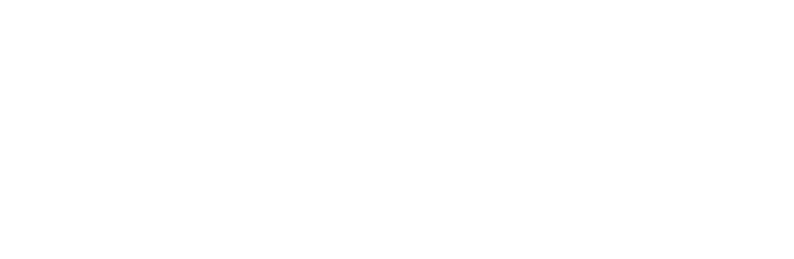 Logo blanc de Premier Tech avec un P stylisé à gauche et les mots PREMIER TECH en lettres majuscules grasses à droite, le tout sur un fond gris pâle - reflétant l'expertise en stratégie de design au Québec.